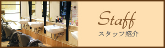 スタッフ紹介